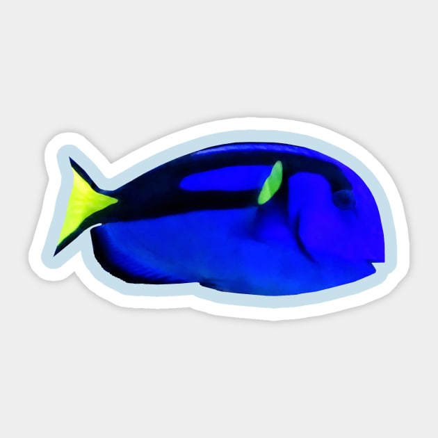 Fish - Blue Tang Sticker by SusanSavad